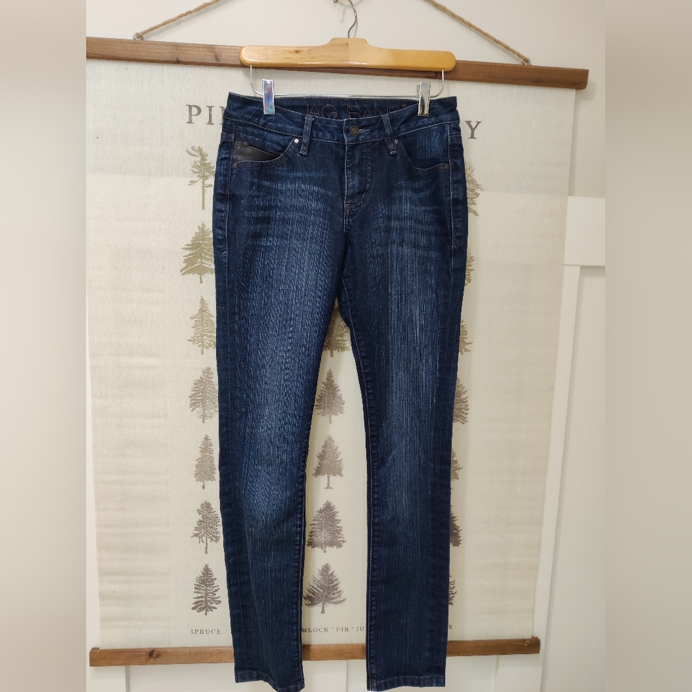 JAG Jeans Dark Wash Skinny Jeans Mid Rise Blue Denim Size 4